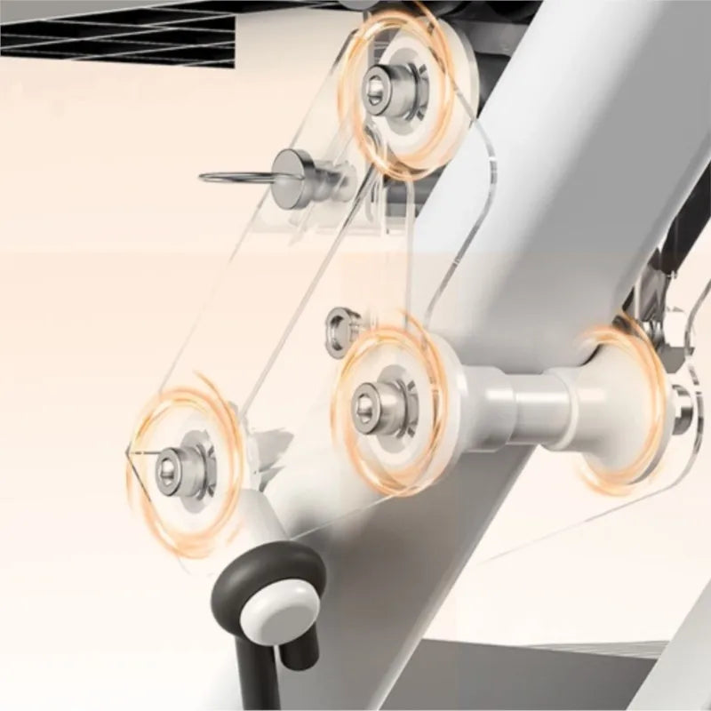 Multifunctional excercise stepper