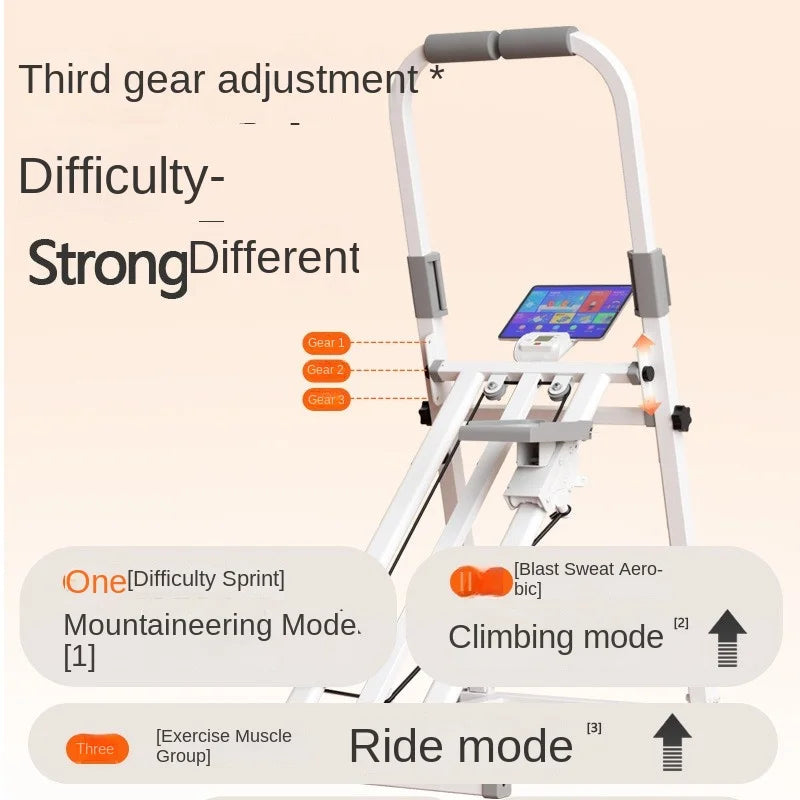 Multifunctional excercise stepper