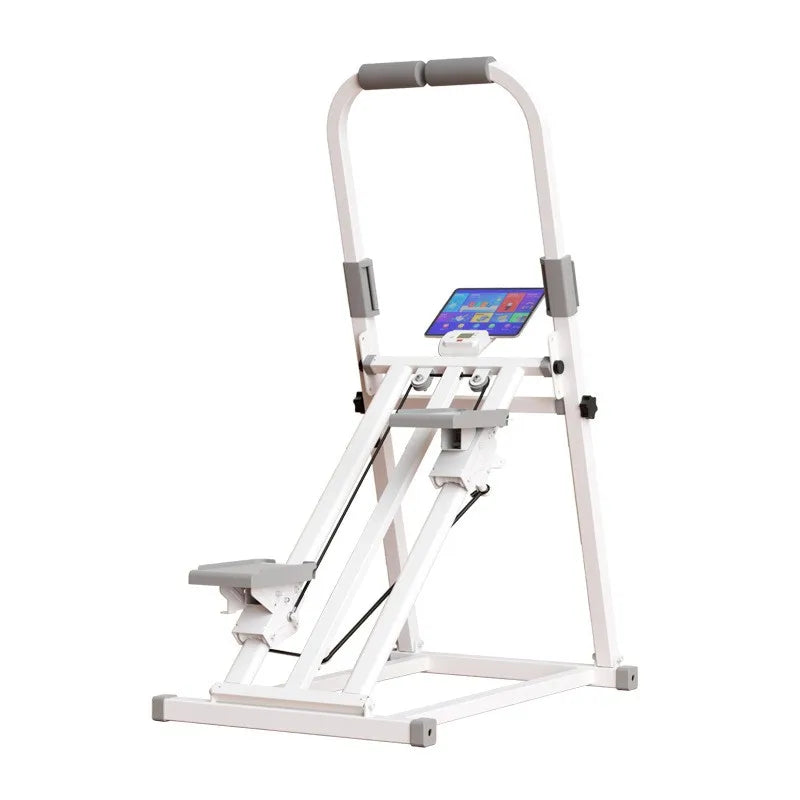 Multifunctional excercise stepper