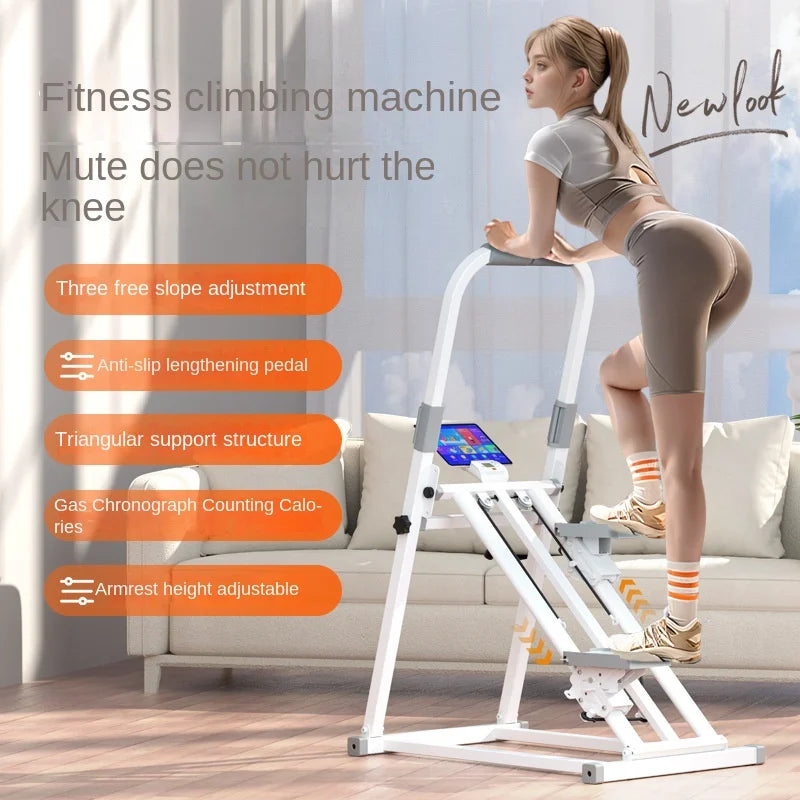 Multifunctional excercise stepper