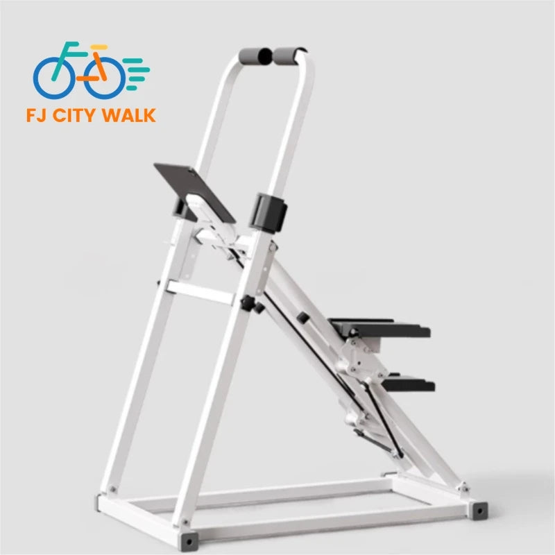 Multifunctional excercise stepper