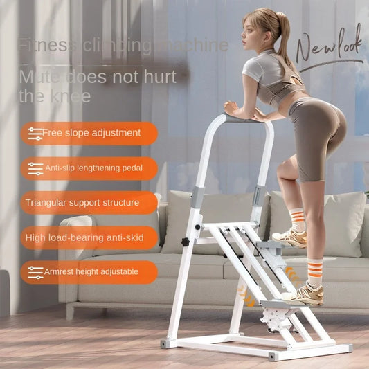 Multifunctional excercise stepper
